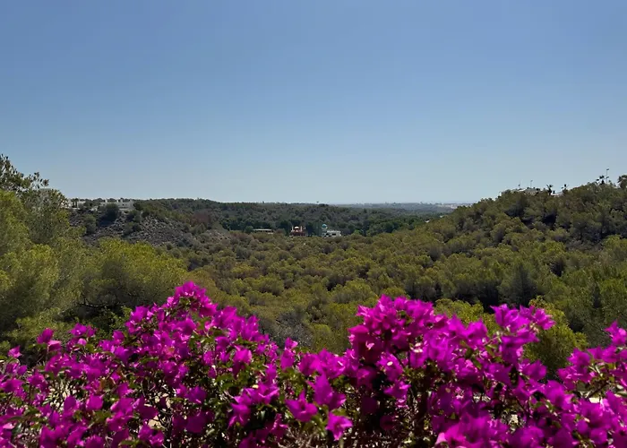 Orihuela - Las Ramblas - Casa Pino