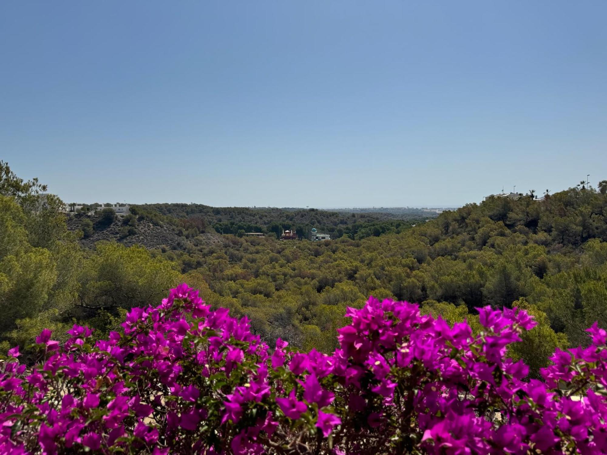 Orihuela - Ramblas - Casa Pino Holiday home Dehesa de Campoamor (Orihuela Costa)